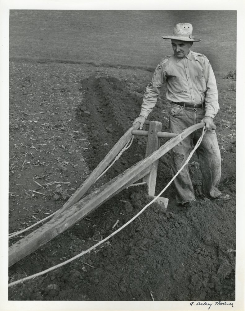 23-001 (click for large image)